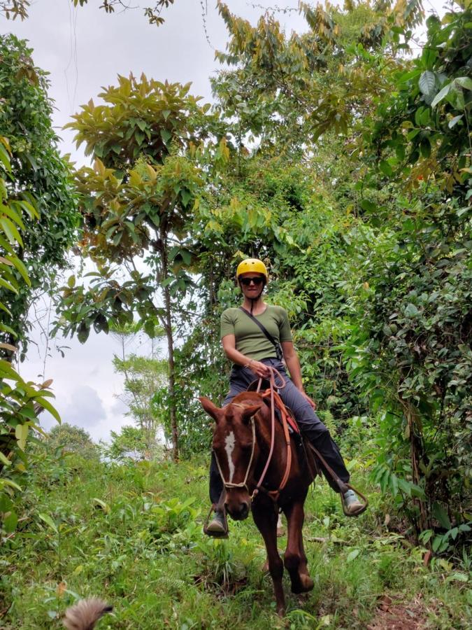 Finca Tres Equis - Farm And Forest Exterior photo