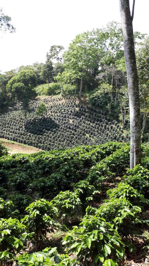 Finca Tres Equis - Farm And Forest Exterior photo